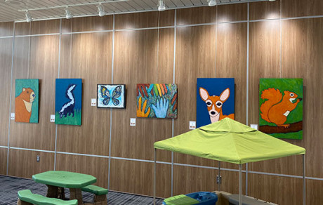 Play Art Gallery Akron Canton Airport Directory