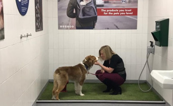 airportpetrelief