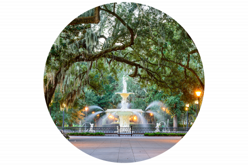 savannah v2