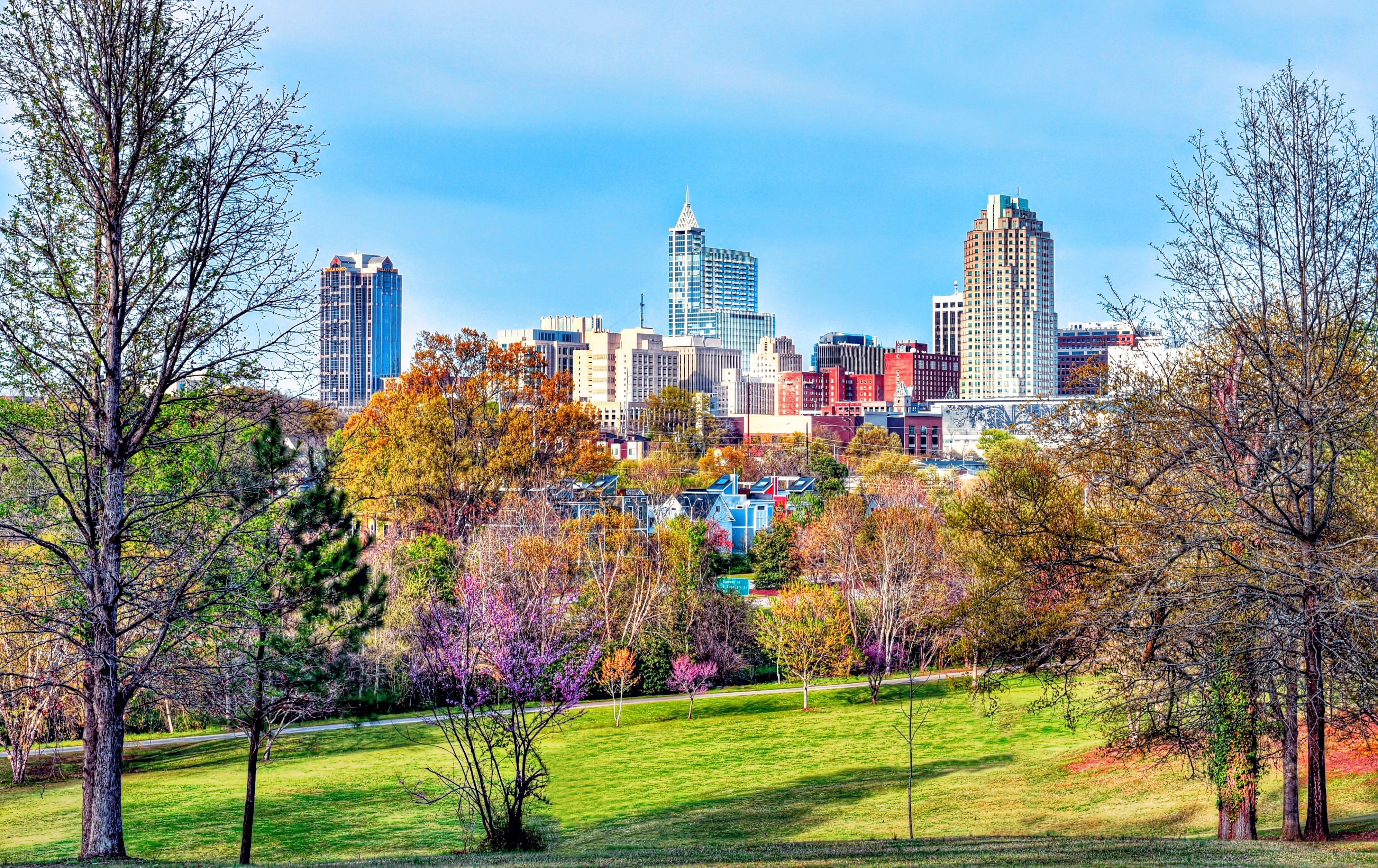 Raleigh Skyline