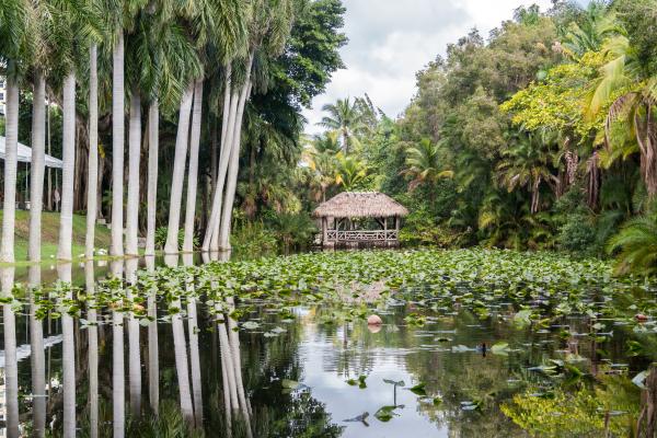Bonnet House Museums and Gardens