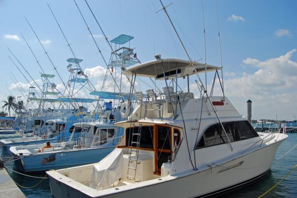 Fishing Charters