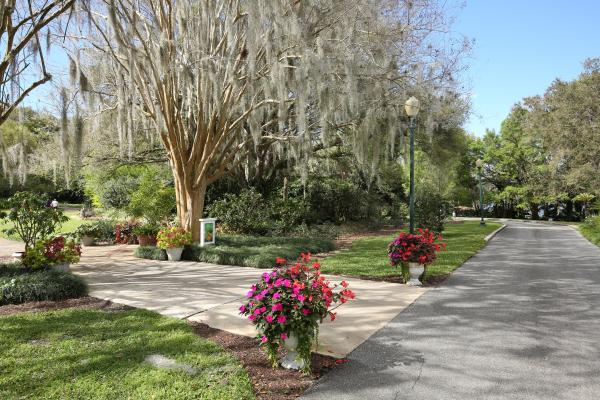 Harry P. Leu Gardens