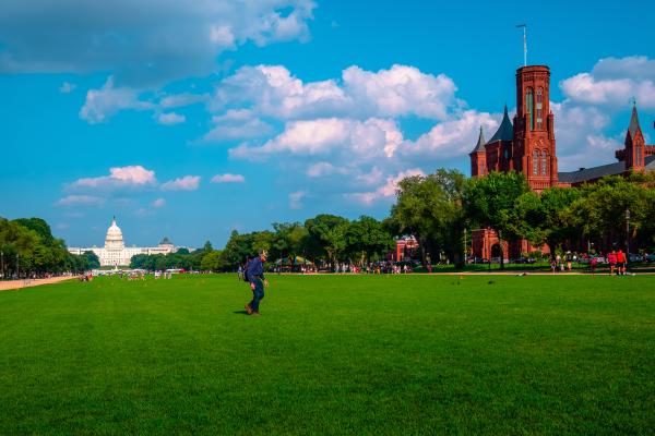 Smithsonian Castle 