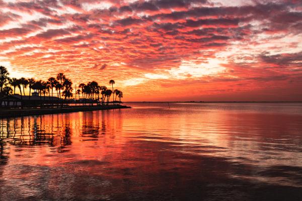 Tampa Bay