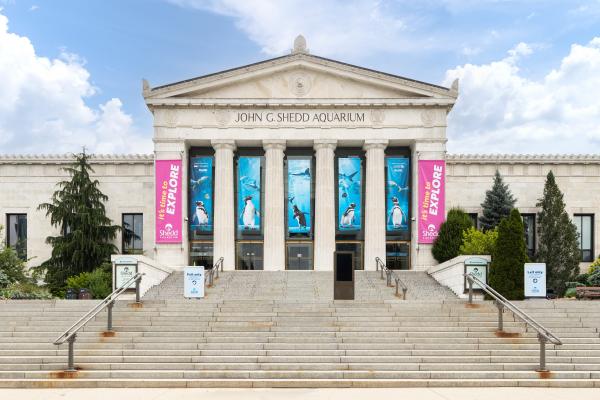 Shedd Aquarium