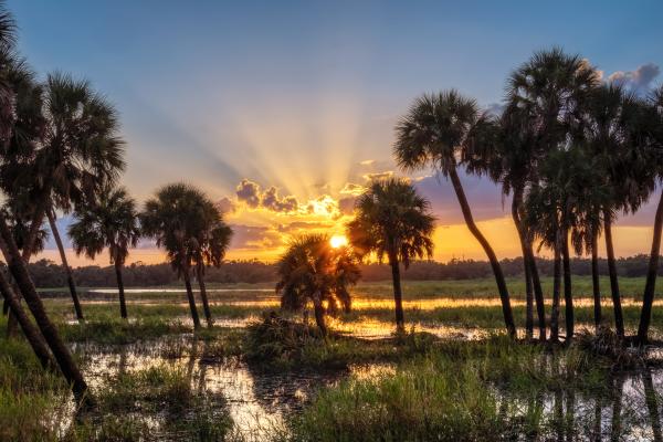 Myakka River State Park