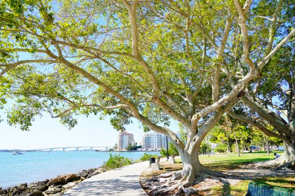 Sarasota bay harbor 