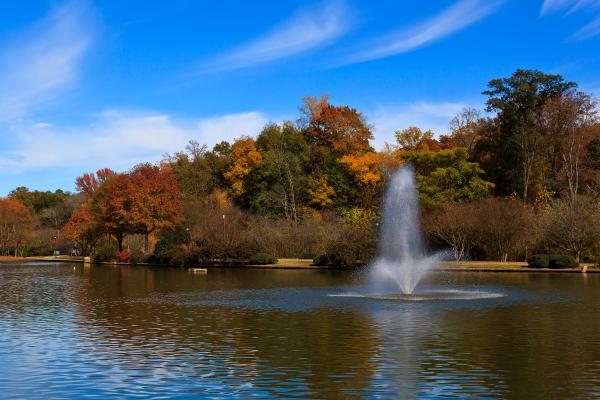 Freedom Park